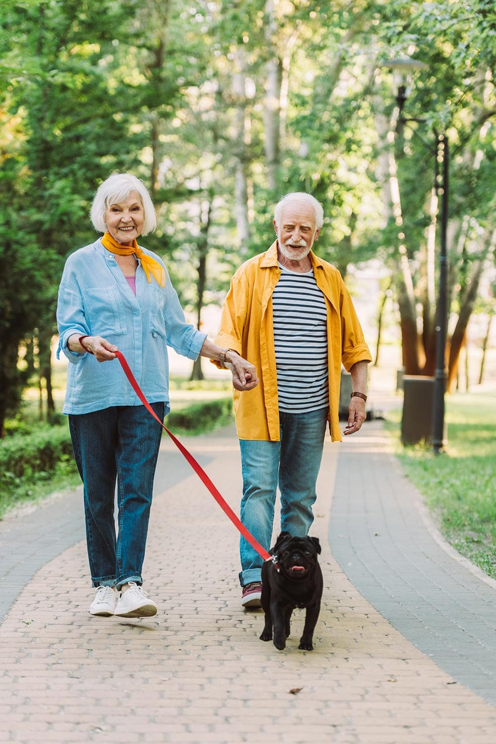 An older couple walks hand in hand along a park path, smiling, with their small black dog on a red leash leading the way. Trees and greenery surround them, capturing the spirit of connection at Thrive Senior Living.