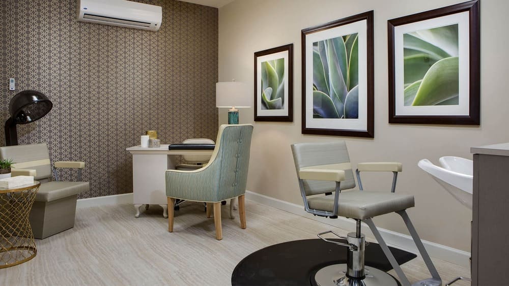 Modern salon or spa room at Thrive Senior Living, featuring a stylish chair, desk, sink, armchair, lamp, and three framed plant photographs on the wall.